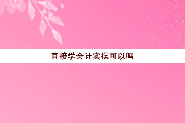 直接学会计实操可以吗(新手学会计难吗)