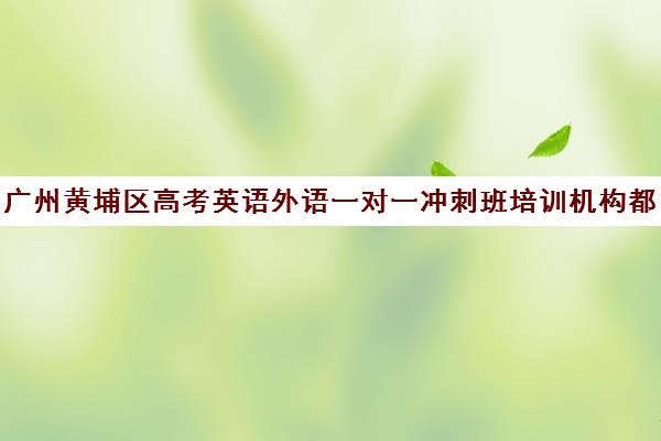 广州黄埔区高考英语外语一对一冲刺班培训机构都有哪些(广州高考冲刺班封闭式全日制)