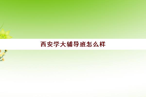 西安学大辅导班怎么样(西安学大教育机构地址)