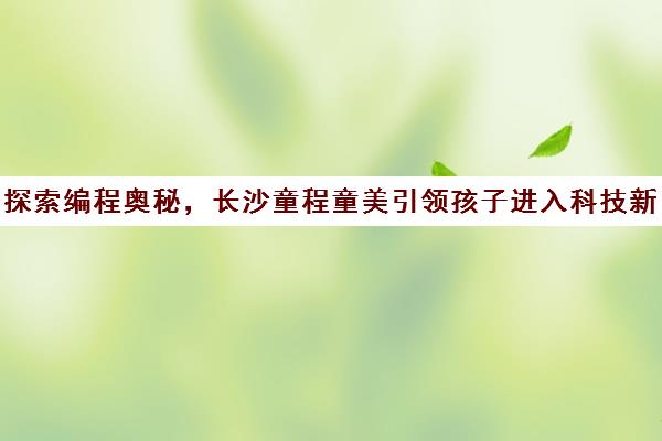 探索编程奥秘，长沙童程童美引领孩子进入科技新纪元