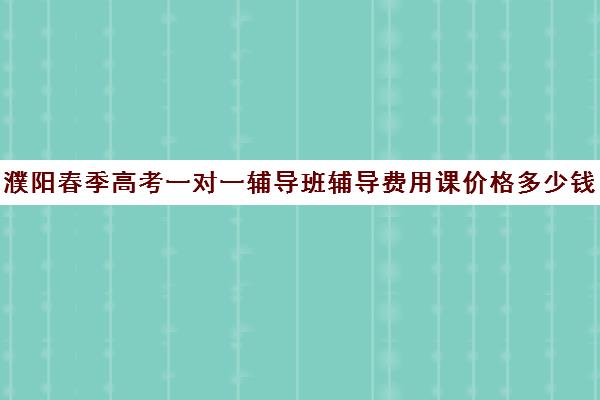 濮阳春季高考一对一辅导班辅导费用课价格多少钱(濮阳艺考培训学校有哪些)