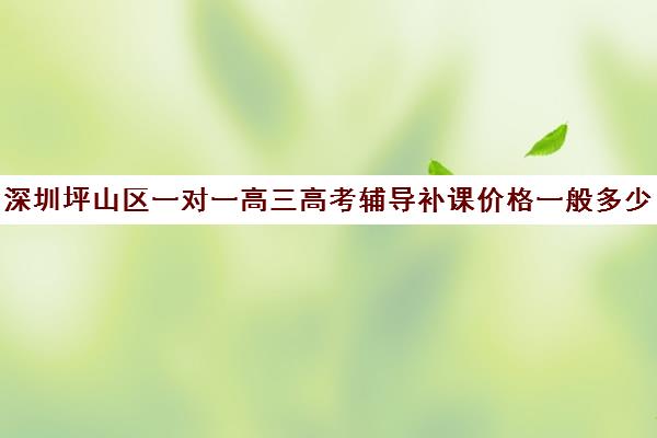 深圳坪山区一对一高三高考辅导补课价格一般多少钱(深圳全日制补课机构高中)