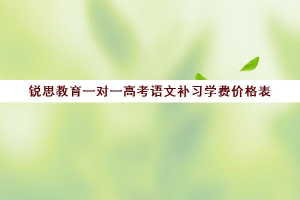 锐思教育一对一高考语文补习学费价格表