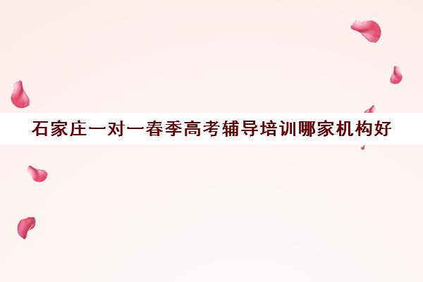 石家庄一对一春季高考辅导培训哪家机构好(石家庄一对一家教费用)