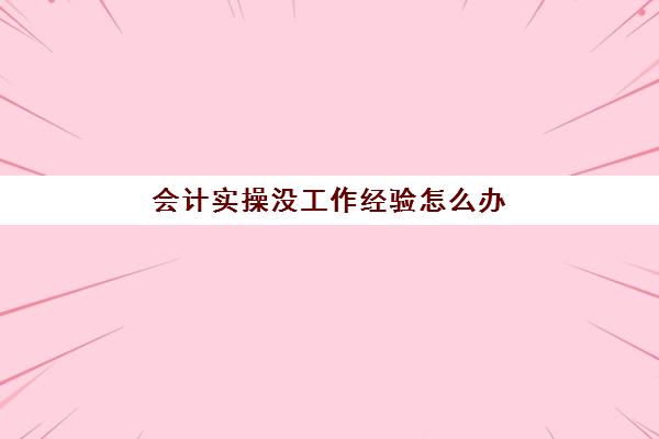 会计实操没工作经验怎么办(没经验的会计有人要吗)