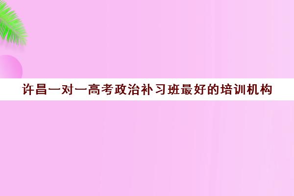 许昌一对一高考政治补习班最好培训机构