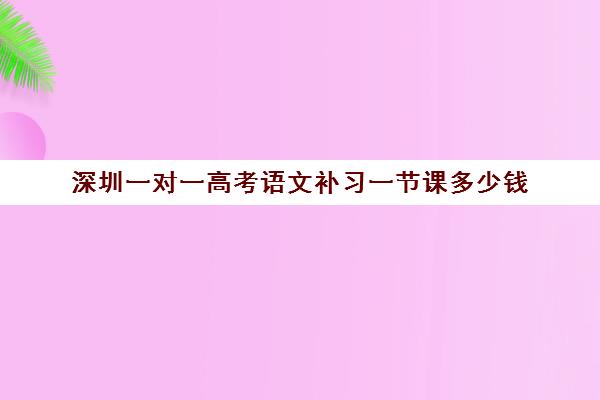 深圳一对一高考语文补习一节课多少钱