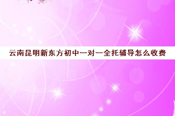 云南昆明新东方初中一对一全托辅导怎么收费（昆明一对一辅导价格表）