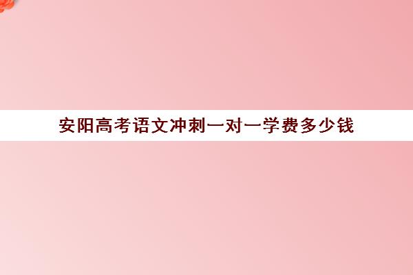 安阳高考语文冲刺一对一学费多少钱(高三辅导一对一多少钱)