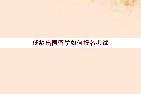 低龄出国留学如何报名考试(年龄超过35岁如何留学)