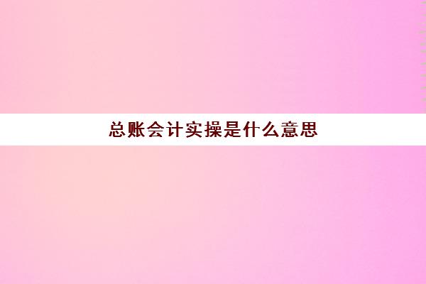 总账会计实操是什么意思(新手可以做总账会计吗)