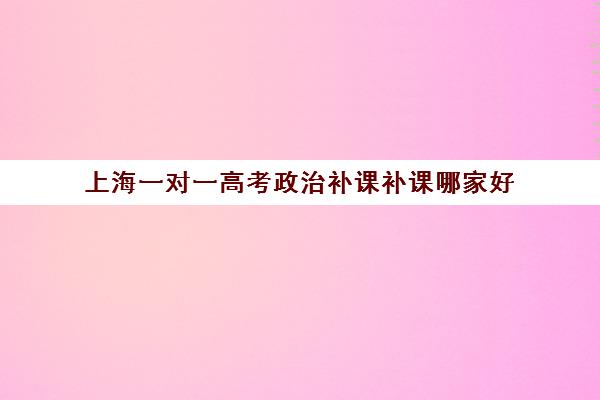 上海一对一高考政治补课补课哪家好(一对一补课现在多少一个小时)