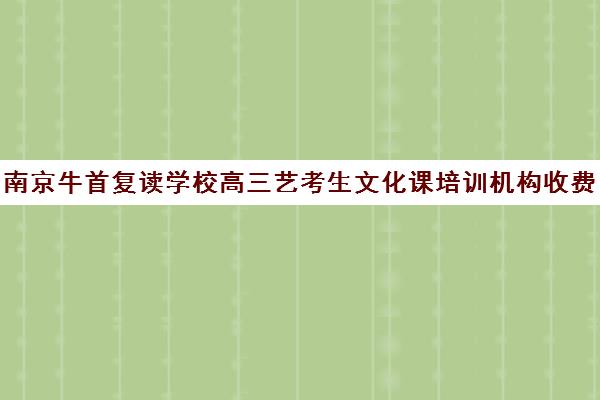 南京牛首复读学校高三艺考生文化课培训机构收费价目表(南京高考复读学校排名第一)