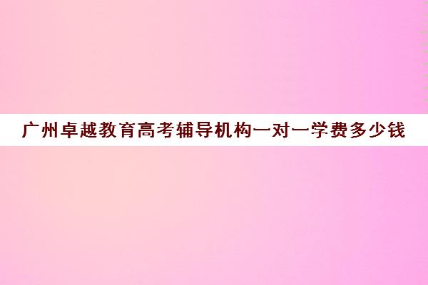 广州卓越教育高考辅导机构一对一学费多少钱(卓越一对一辅导收费标准)