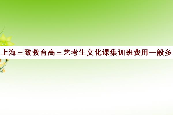 上海三致教育高三艺考生文化课集训班费用一般多少钱(上海艺考生文化课需要多少分?)