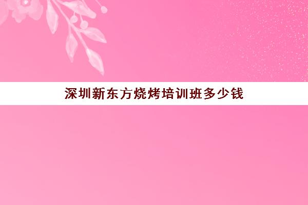 深圳新东方烧烤培训班多少钱(深圳市新东方培训学校)