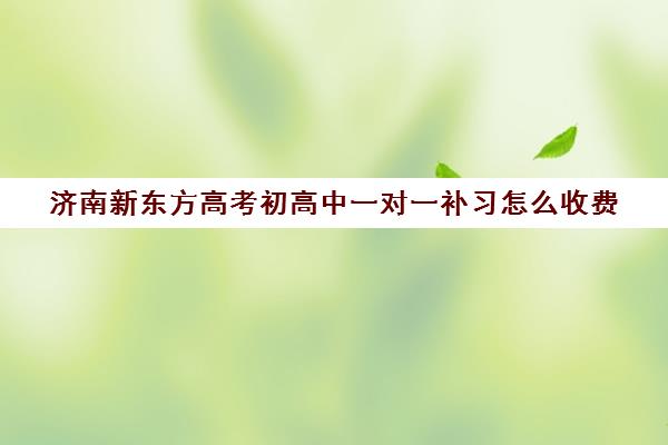 济南新东方高考初高中一对一补习怎么收费