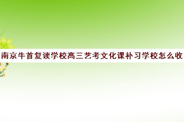 南京牛首复读学校高三艺考文化课补习学校怎么收费