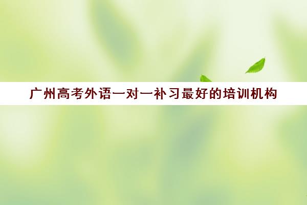 广州高考外语一对一补习最好培训机构