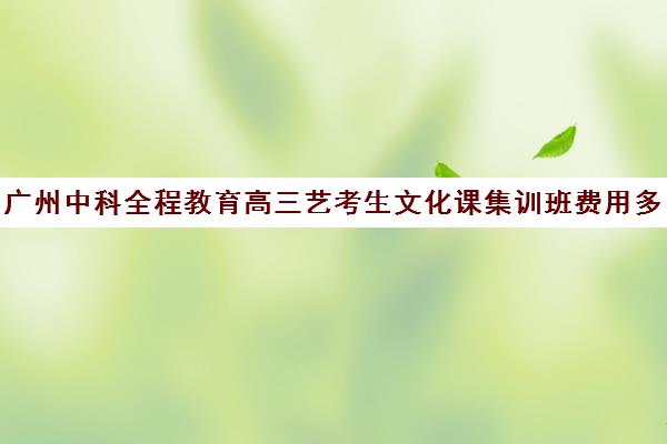 广州中科全程教育高三艺考生文化课集训班费用多少钱(广州艺考培训学校前十)