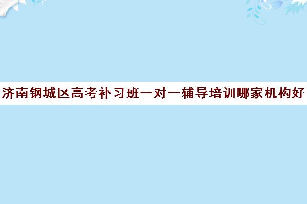 济南钢城区高考补习班一对一辅导培训哪家机构好