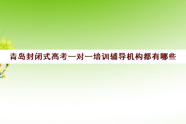 青岛封闭式高考一对一培训辅导机构都有哪些(青岛高中辅导班哪家好)