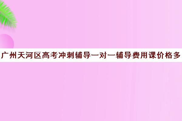 广州天河区高考冲刺辅导一对一辅导费用课价格多少钱(高考线上辅导机构有哪些比较好)