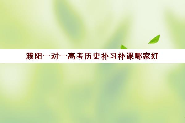 濮阳一对一高考历史补习补课哪家好