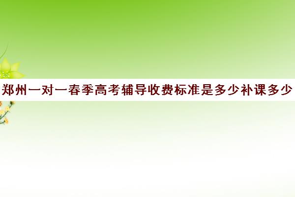 郑州一对一春季高考辅导收费标准是多少补课多少钱一小时(一对一补课价格)