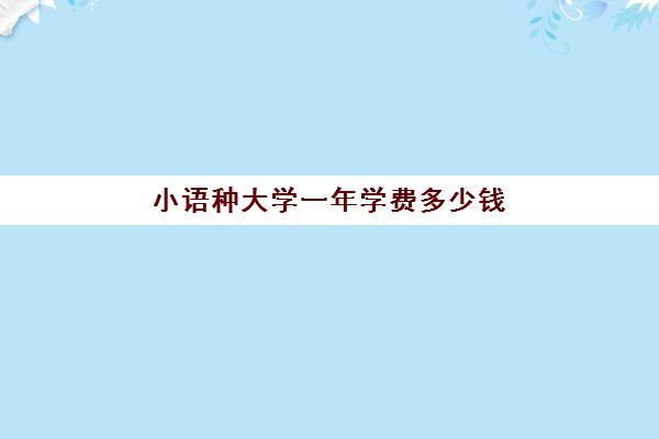 小语种大学一年学费多少钱(小语种可以报考的大学)