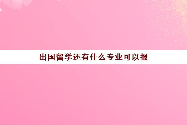 出国留学还有什么专业可以报(现在哪些专业比较好)