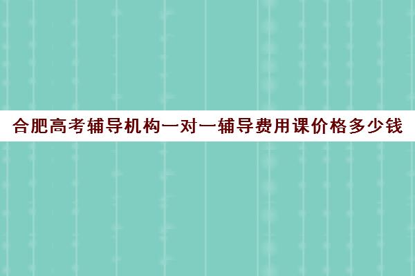 合肥高考辅导机构一对一辅导费用课价格多少钱(合肥比较出名高中辅导班)