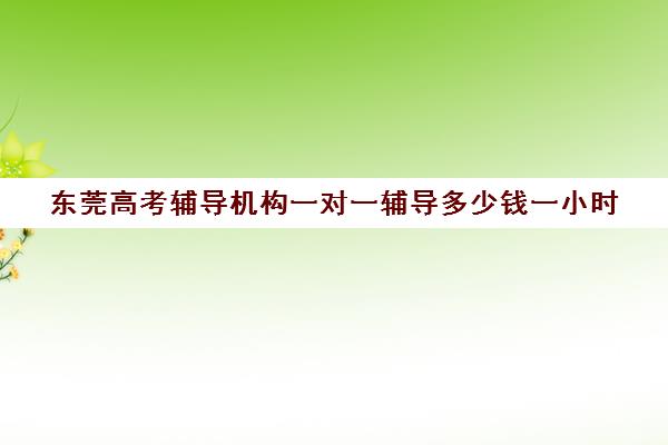 东莞高考辅导机构一对一辅导多少钱一小时(东莞补课哪个机构比较好)