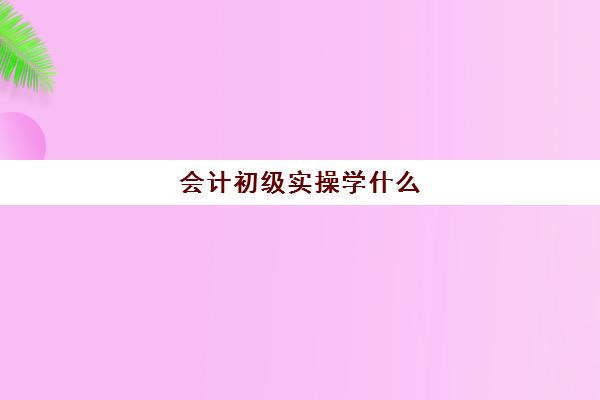 会计初级实操学什么(初级会计要学哪些东西)