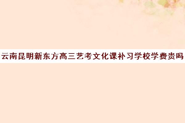 云南昆明新东方高三艺考文化课补习学校学费贵吗