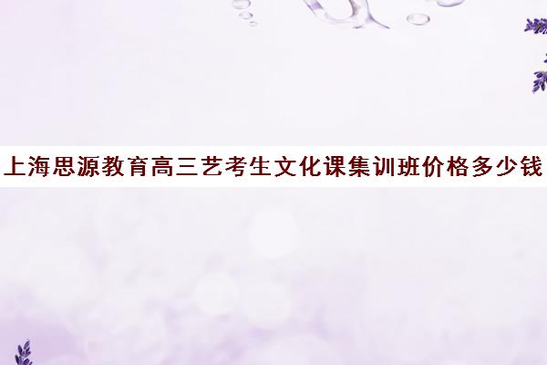 上海思源教育高三艺考生文化课集训班价格多少钱(上海艺考机构哪个最好)