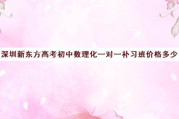 深圳新东方高考初中数理化一对一补习班价格多少