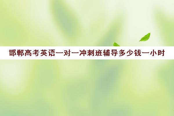 邯郸高考英语一对一冲刺班辅导多少钱一小时(一对一补课现在多少一个小时)