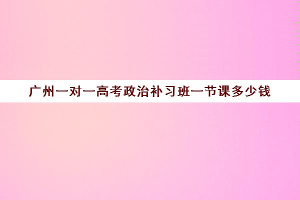 广州一对一高考政治补习班一节课多少钱