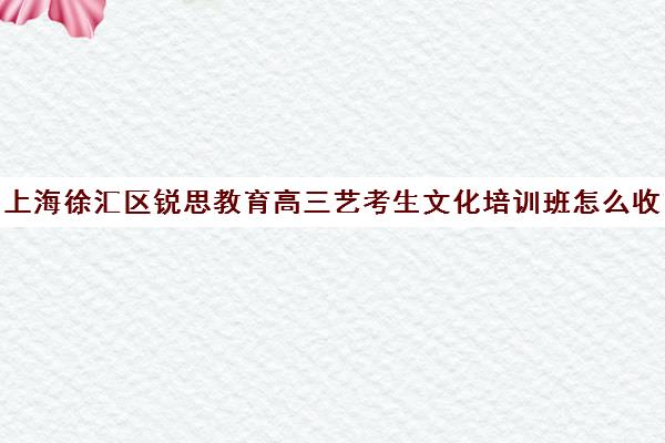 上海徐汇区锐思教育高三艺考生文化培训班怎么收费(播音艺考培训班)