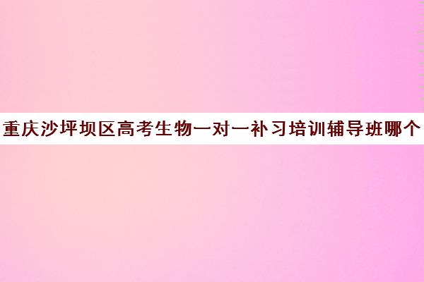 重庆沙坪坝区高考生物一对一补习培训辅导班哪个好