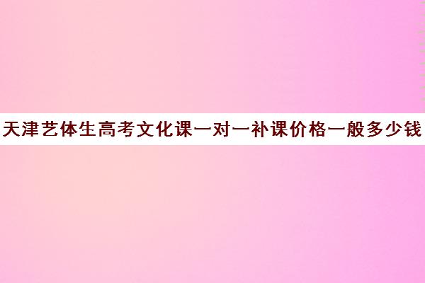 天津艺体生高考文化课一对一补课价格一般多少钱(天津高中一对一补课多少钱一小时)