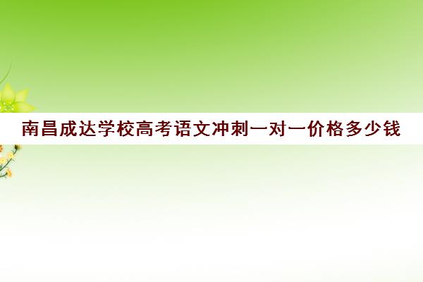 南昌成达学校高考语文冲刺一对一价格多少钱(南昌一对一辅导哪好)