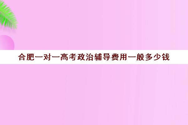 合肥一对一高考政治辅导费用一般多少钱(合肥比较出名高中辅导班)