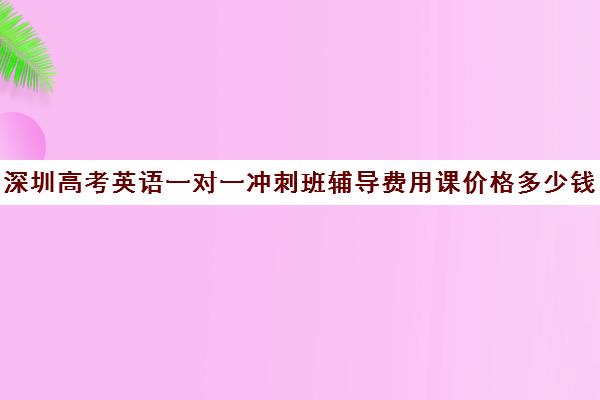 深圳高考英语一对一冲刺班辅导费用课价格多少钱(高考线上辅导机构有哪些比较好)