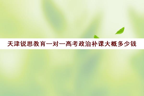 天津锐思教育一对一高考政治补课大概多少钱（高考机构补课真能提分吗）