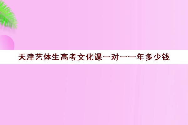 天津艺体生高考文化课一对一一年多少钱(天津艺考可以去哪些大学)