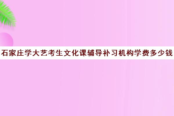 石家庄学大艺考生文化课辅导补习机构学费多少钱