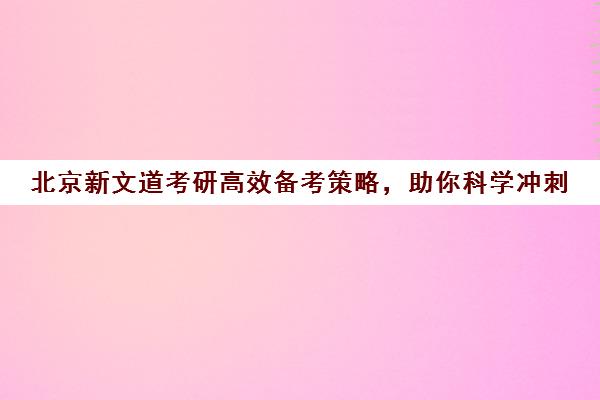 北京新文道考研高效备考策略，助你科学冲刺