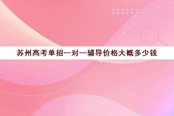 苏州高考单招一对一辅导价格大概多少钱(苏州新东方一对一教育机构)